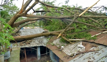 গাইবান্ধায় কালবৈশাখী ঝড়ে ৮ জনের মৃত্যু