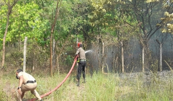 জাহাঙ্গীরনগর বিশ্ববিদ্যালয়ে গাছপালা পুড়ে ছাই