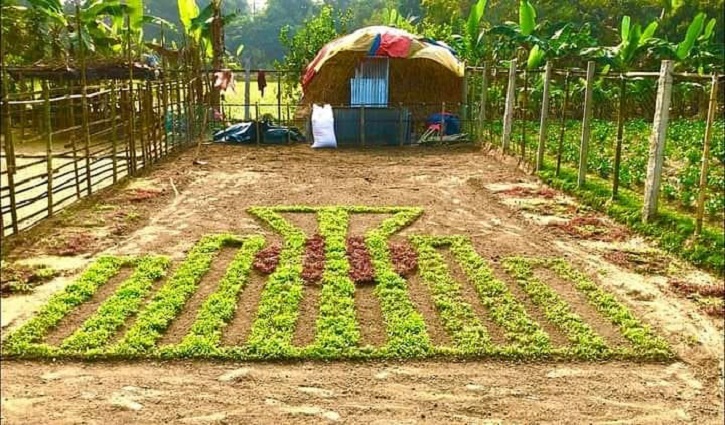 পালং ও লাল শাক দিয়ে শহীদ মিনার গড়লেন কিশোরগঞ্জের রোমান