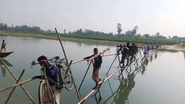 ৬০ বছর ধরে বাঁশের সাঁকোতে নদী পার হন ৫ গ্রামের মানুষ 