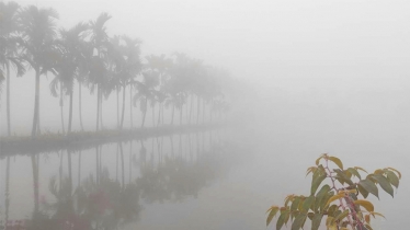 ঘন কুয়াশার চাদরে মোড়ানো নীলফামারী, বাড়ছে শীতের তীব্রতা