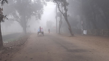 টানা ৫ দিন ধরে শৈত্যপ্রবাহে কাঁপছে পঞ্চগড়