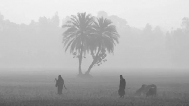 পঞ্চগড়ের তাপমাত্রা আবার নামল ১০ ডিগ্রির নিচে