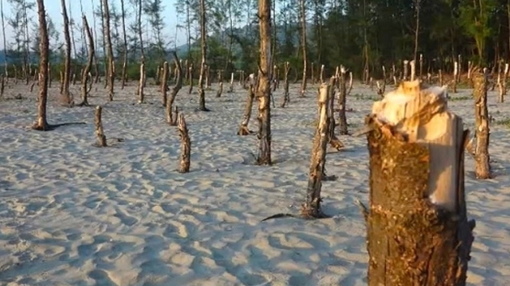 কক্সবাজারে সরকারি ভূমিতে অবৈধভাবে স্থাপনা নির্মাণ অব্যাহত