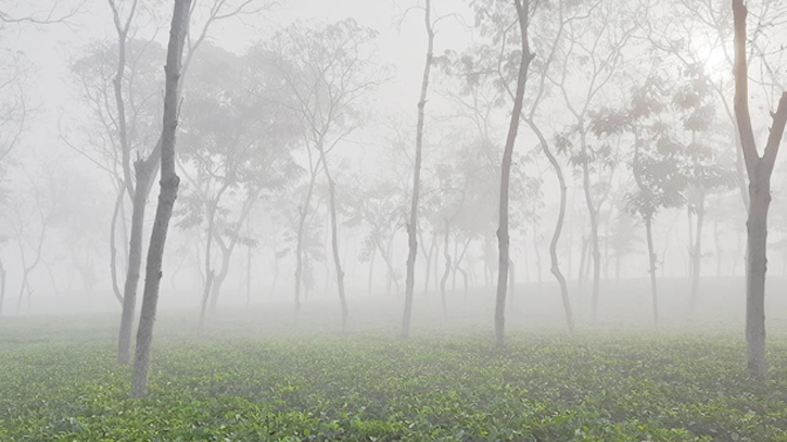 মৌসুমের সর্বনিম্ন তাপমাত্রা শ্রীমঙ্গলে